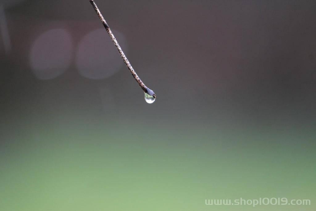 水雨情远传系统——提高防洪准确性 